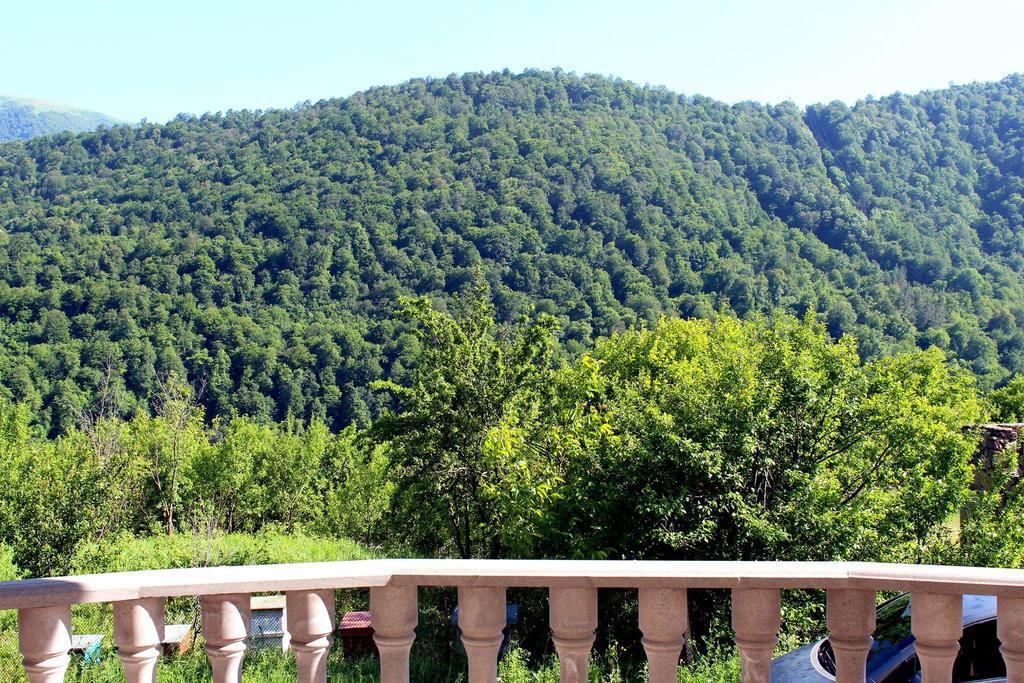 Family & Friends Guest House Dilican Dış mekan fotoğraf
